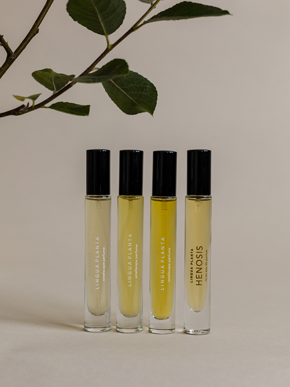 Lingua Planta shop online merle bergers perfume sukha mini family
