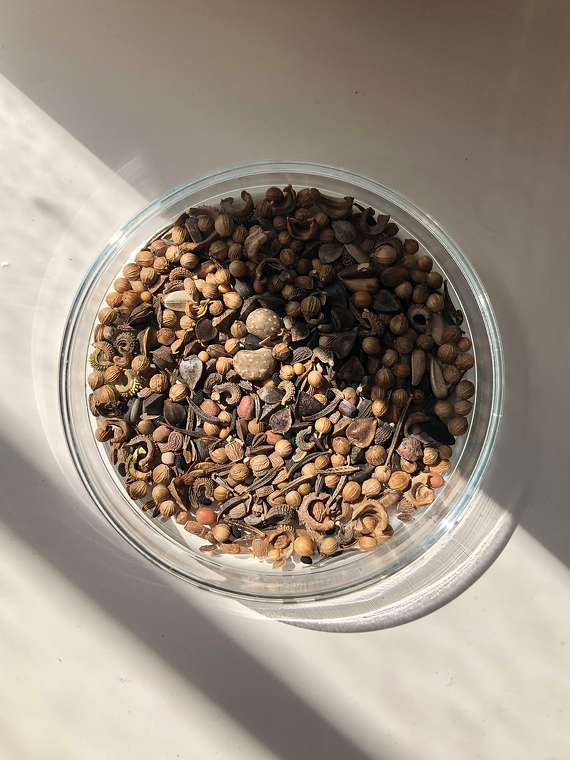 Buy Organic Flower Seeds — Lingua Planta for €4,00