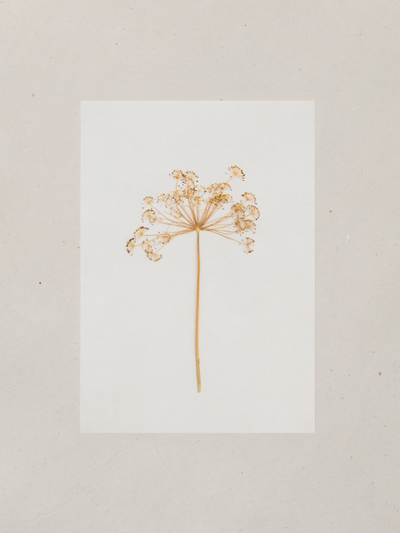 card stillness Marieke verdenius