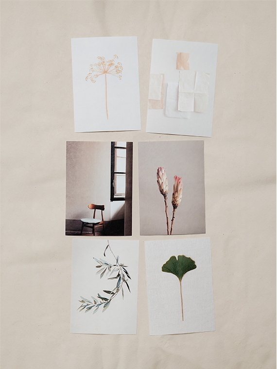 Marieke Verdenius photography set of 5 cards overview handmade cards printed cards sukha illustration