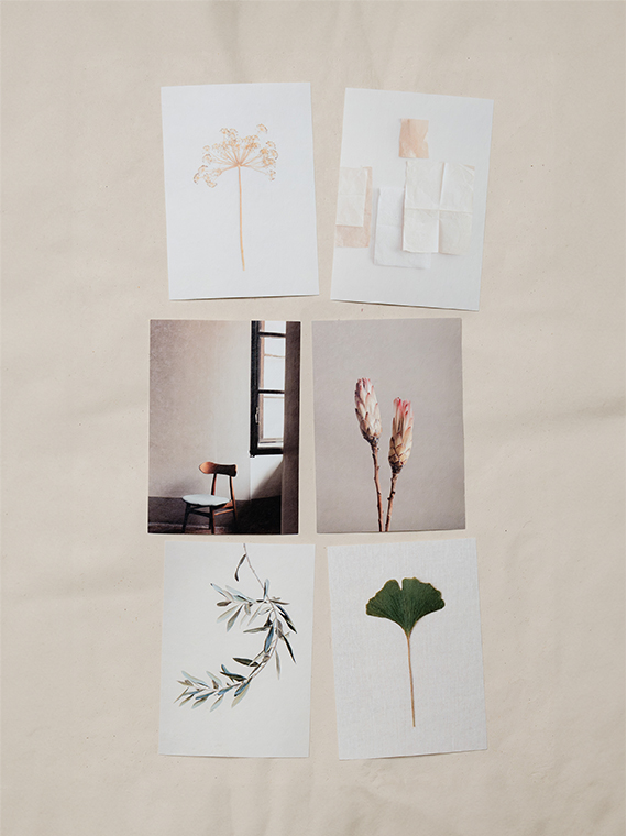 Marieke verdenius cards overview