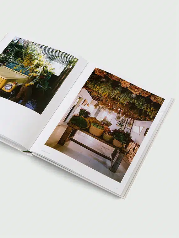 the avant gardens gestalten book page 5