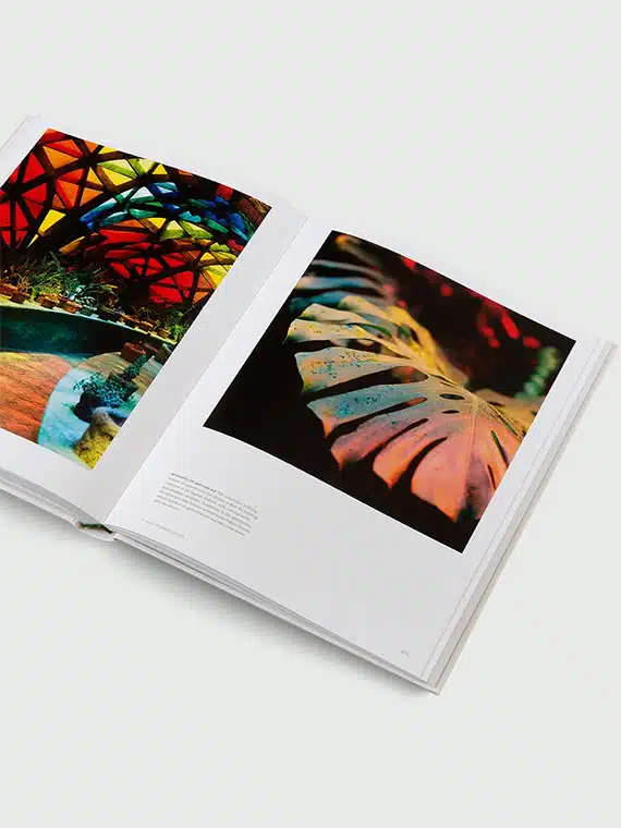 the avant gardens gestalten book page 4