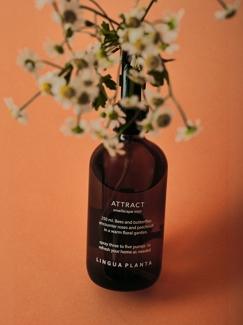 attract roomspray Lingua Planta natural perfume cover