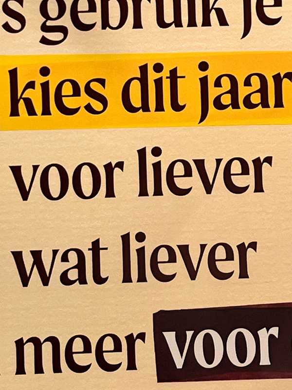 sukha poem sukha gedicht samen verkiezingen 2025 close up