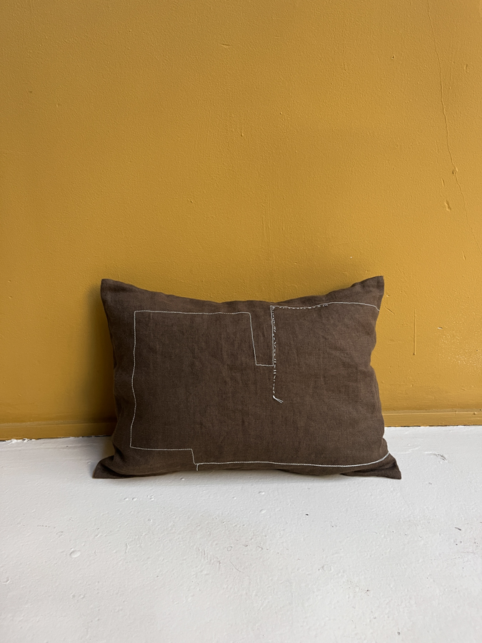 mini cushion hug earth fant graphic cover