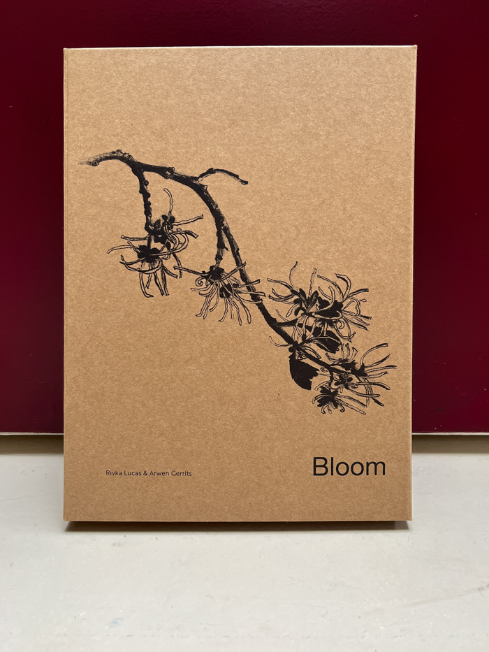 potlood en inkt bloei Bloom nature cards nature illustration