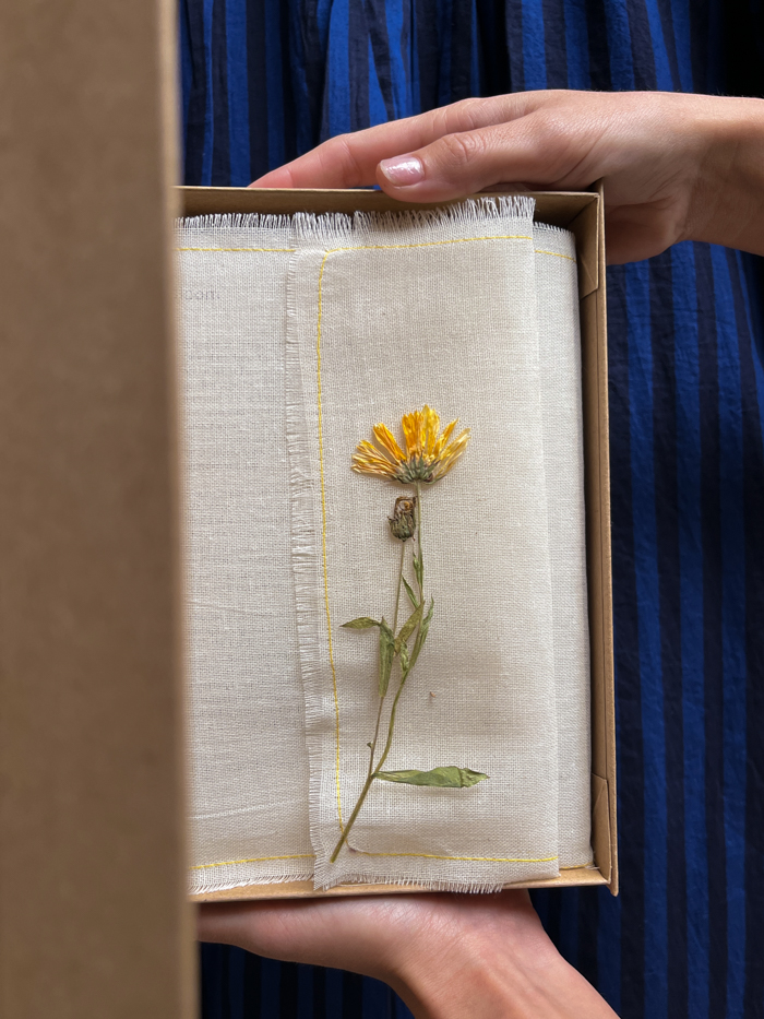 gift store ethical gifts potlood en inkt bloei Bloom nature cards nature illustration cover