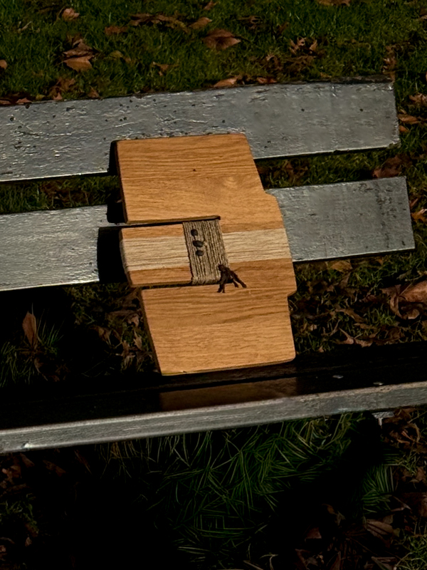 fant x Sukha event winter 2025 wooden wall pieces