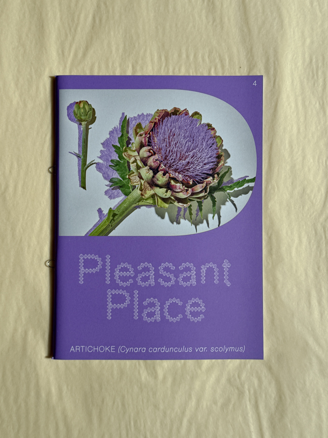 pleasant place magazine publication amsterdam note on gardening & art #4 artichoke