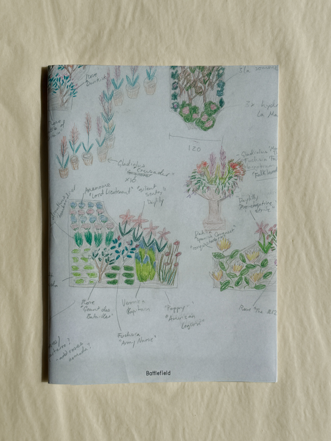 battle fields the book by Gabriella Hirst gardening art magazine paperback painting drawing project