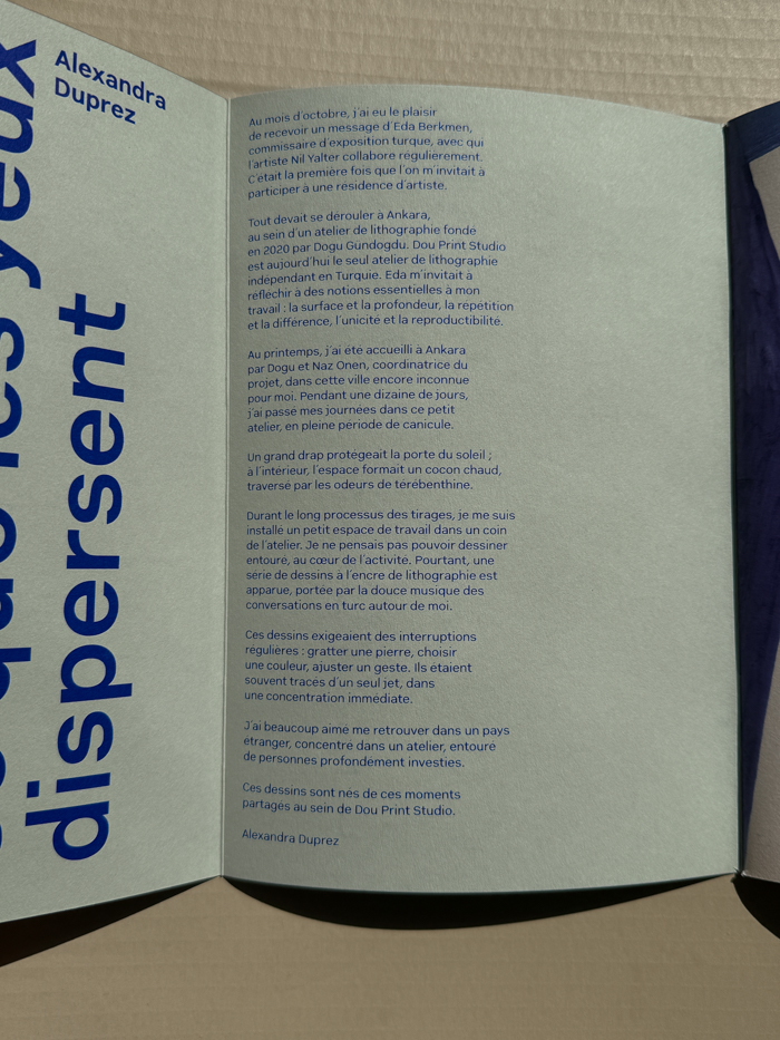Alexandra Duprez Ce que les yeux dispersent book ok des paris artist book detail