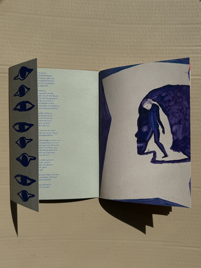 Alexandra Duprez Ce que les yeux dispersent book ok des paris artist book text