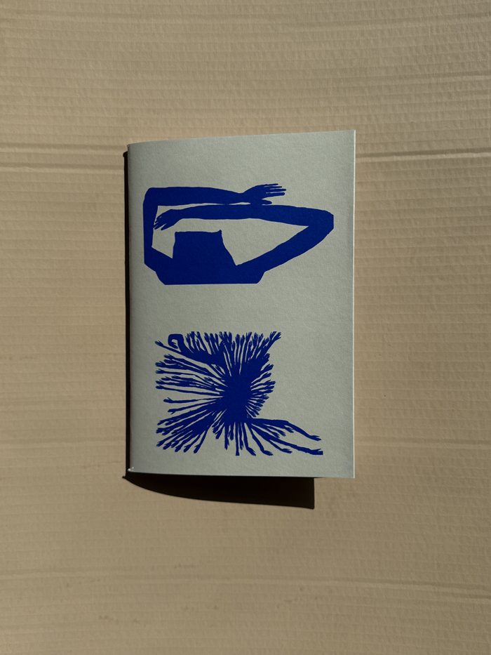 Alexandra Duprez Ce que les yeux dispersent book ok des paris artist book cover book