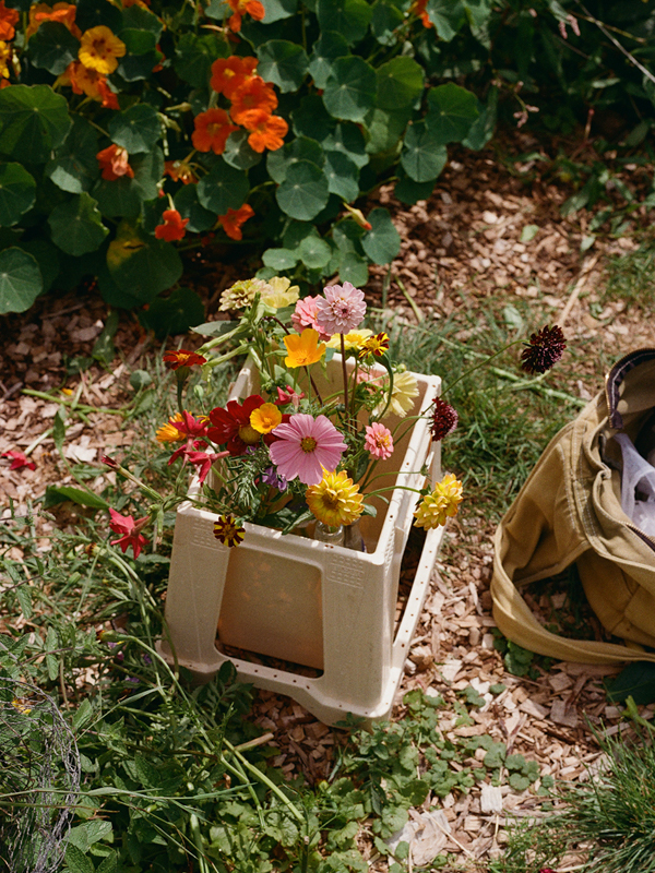 noorderbloemen workshop pluk & schik atelier sukha zomer 2026 cover